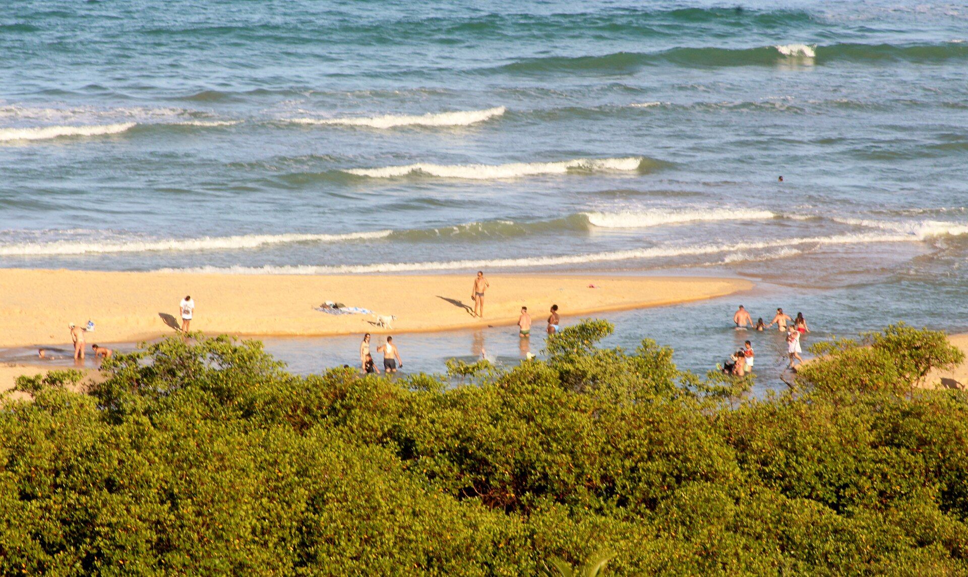 Vista elevada da vegetação e do litoral de Trancoso